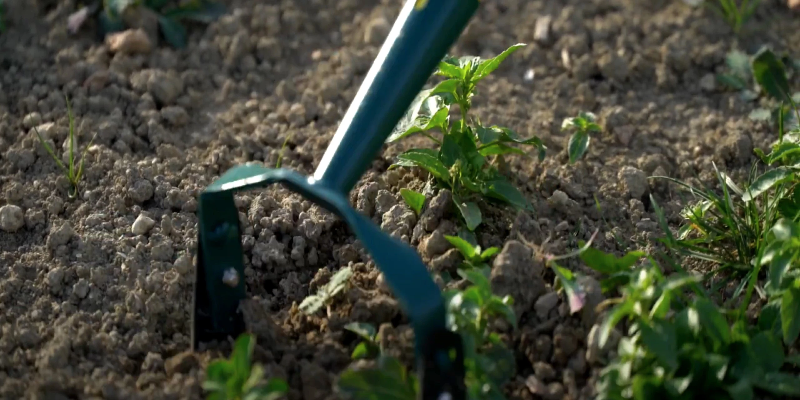 Angajamentul nostru privind CSR