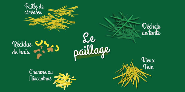 Protejează-ți grădina de legume prin mulcire