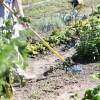Răzuitor oscilant + afânător naturOvert