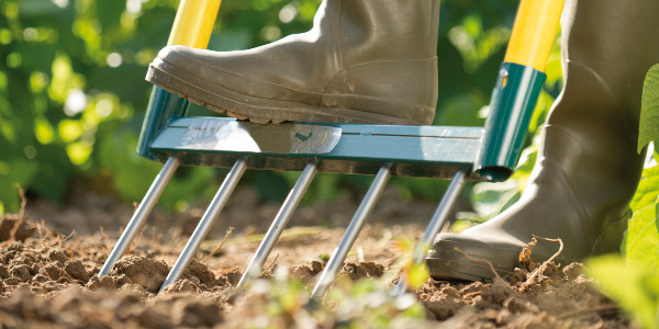 Cum poți evita apariția AMS la nivelul spatelui, când pregătești pământul în grădina ta de legume?