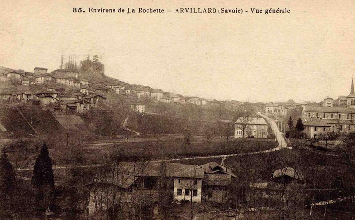 Istoria în domeniu