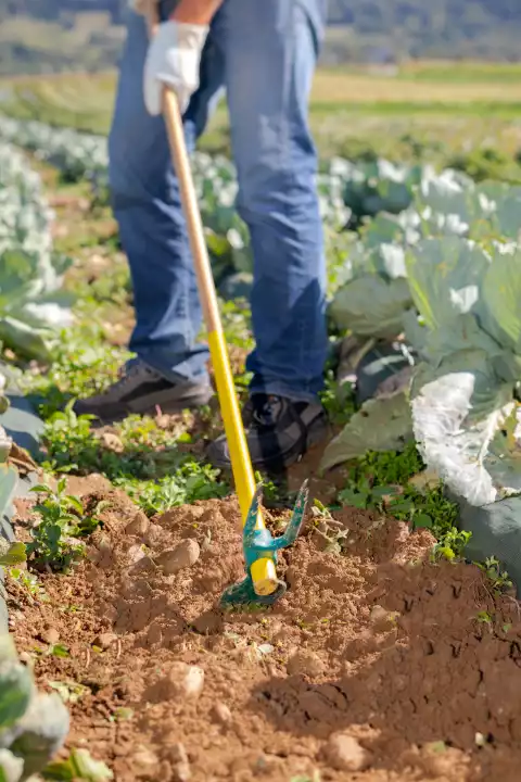 Cultivarea pământului