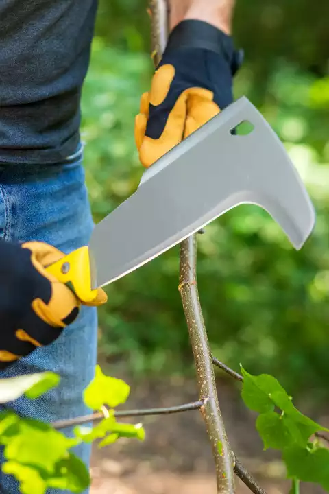 Unelte pentru tăierea crengilor și defrișare
