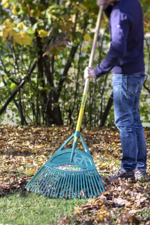 Întreținerea spațiilor verzi