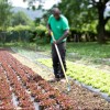 Prășitoare cu lamă V naturOvert